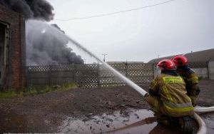 Walka z ogniem strażaków na składowisku odpadów w Siemianowicach Śląskich (14)