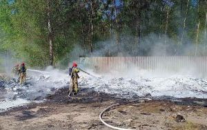 Pożar dzikiego wysypiska śmieci. Zdjęcie przedstawia miejsce pożaru o powierzchni 100 metrów kwadratowych