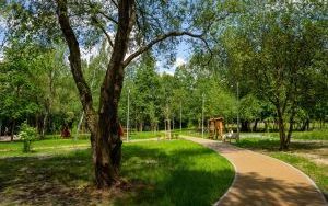 Park Malownik w Katowicach (2)