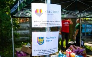 Jubileuszowy X Bieg im. Janusza Sidły (26.05.2024) (4)