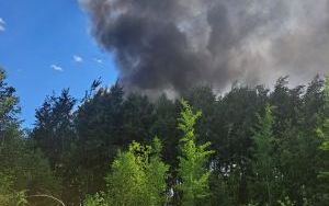 Pożar w Piotrowicach [27.05.2024]