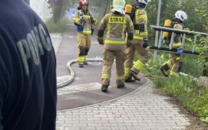 Pożar pustostanu w katowickim Wełnowcu (2)