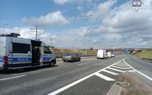 Koń na autostradzie A4 w Gliwicach (2)