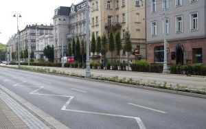Ulica Warszawska w Katowicach w trakcie wymiany cisów na róże - czerwiec 2024 (5)