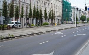 Ulica Warszawska w Katowicach w trakcie wymiany cisów na róże - czerwiec 2024 (7)