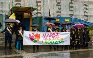 Marsz dla Życia i Rodziny w Katowicach 2024 (2)