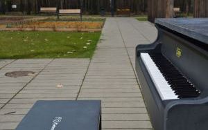 Miejski fortepian został zabrany z Parku Zadole. Na wniosek mieszkańców (2)