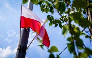 Katowice przystrojone biało-czerwonymi flagami (4)