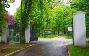 Park Wełnowiecki w Katowicach (1)