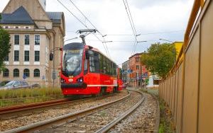 Torowisko na Zawodziu przygotowane do remontu  (15)