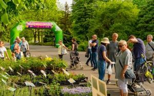 Kiermasz Kwiatowy 2022 w Parku Śląskim (5)