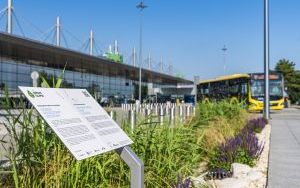 Zielone Katowice Airport - projekt LIFE Archiclima (1)