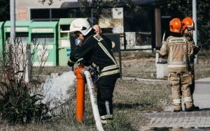 Pożar składowiska makulatury w Tychach [15.08.2024] (8)