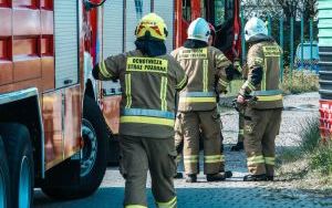 Pożar składowiska makulatury w Tychach [15.08.2024] (16)