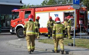 Pożar składowiska makulatury w Tychach [15.08.2024] (5)