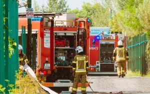 Pożar składowiska makulatury w Tychach [15.08.2024] (8)