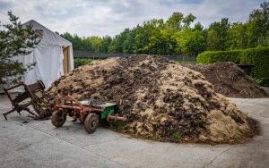 Ciężki sprzęt dewelopera na plantacji borówki w Katowicach (3)