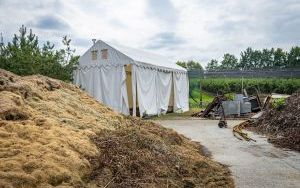 Ciężki sprzęt dewelopera na plantacji borówki w Katowicach (12)