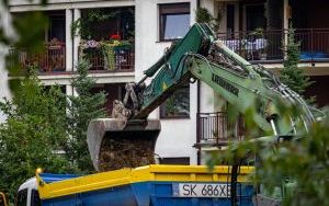 Ciężki sprzęt dewelopera na plantacji borówki w Katowicach (3)