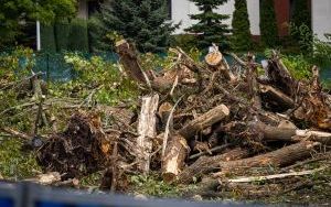 Ciężki sprzęt dewelopera na plantacji borówki w Katowicach (5)