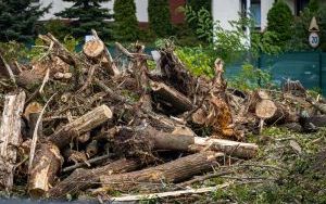 Ciężki sprzęt dewelopera na plantacji borówki w Katowicach (7)