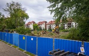 Ciężki sprzęt dewelopera na plantacji borówki w Katowicach (12)