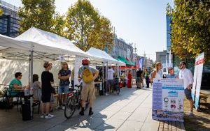 Festiwal Organizacji Pozarządowych 2024 na rynku w Katowicach (9)