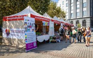 Festiwal Organizacji Pozarządowych 2024 na rynku w Katowicach (11)