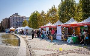 Festiwal Organizacji Pozarządowych 2024 na rynku w Katowicach (13)