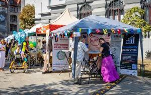 Festiwal Organizacji Pozarządowych 2024 na rynku w Katowicach (14)