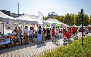 Festiwal Organizacji Pozarządowych 2024 na rynku w Katowicach (2)