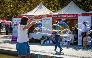 Festiwal Organizacji Pozarządowych 2024 na rynku w Katowicach (2)