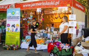 Festiwal Organizacji Pozarządowych 2024 na rynku w Katowicach (14)