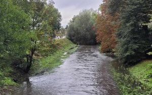 Katowice-Śródmieście, Rawa, godz. 17:00, 14 września (1)