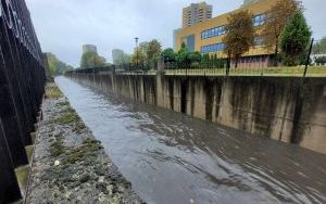 Katowice, Rawa, godz. 12:50 , 14 września (4)