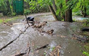 Ślepotka (dopływ Kłodnicy), godzina 11:20, okolice głównego mostu, 14 września