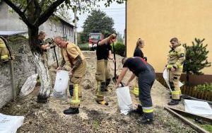 Działania strażaków w Katowicach (4)