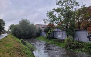 Katowice-Śródmieście, Rawa, godz. 17:00, 14 września (5)