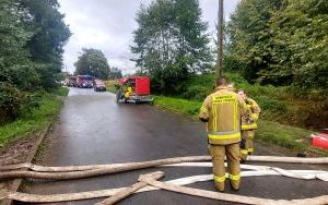 Interwencje strażaków w woj. śląskim (2)