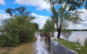 Interwencje strażaków w woj. śląskim (13)