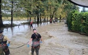 Interwencje strażaków w woj. śląskim (4)