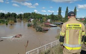 Interwencje strażaków w woj. śląskim (7)