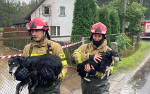 Liczne interwencje strażaków związane z powodziami (8)