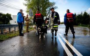 Liczne interwencje strażaków związane z powodziami (8)