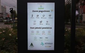 Tablica Upsurge pod ścianą zieleni na rynku (3)