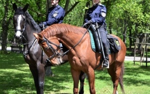 Dzień Weterana w Parku Śląskim (4)