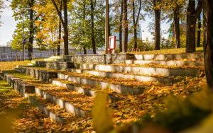 Jesień w Parku Boguckim w Katowicach (10)