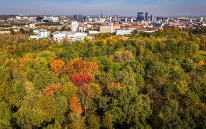 Złota jesień w Parku Kościuszki w Katowicach (10)