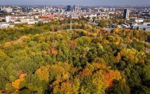 Złota jesień w Parku Kościuszki w Katowicach (2)