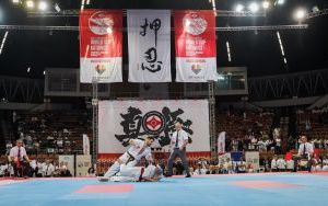 Puchar Świata Karate Kyokushin IKO Katowice 2024 (18)